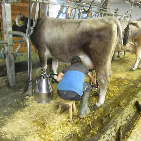 아파트 Haus Lentsch Kaunerberg