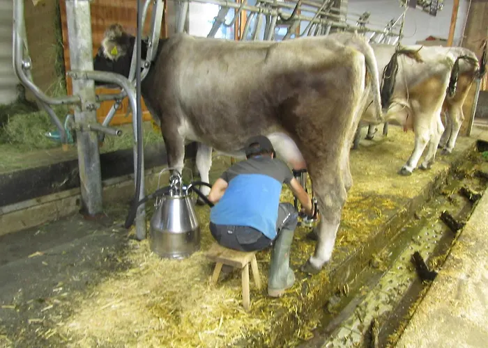 아파트 Haus Lentsch Kaunerberg